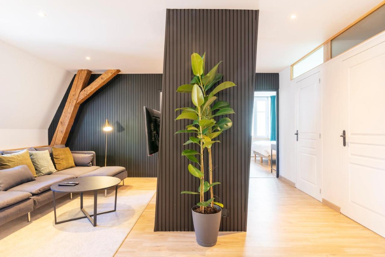 Le Chic De Serre - Sublime Loft Au Coeur De 南锡 外观 照片